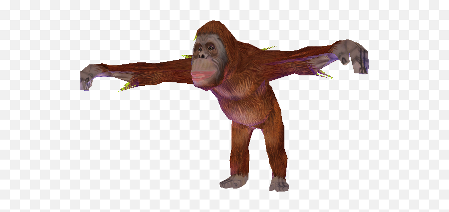 Pc Computer - Zoo Tycoon 2 Orangutan Female The Models Zoo Tycoon 2 Orangutan Female Png,Orangutan Icon