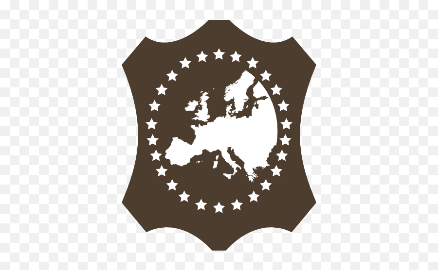 Privacy Policy En - Conceria Mancini Angelo Png,European Flag Icon