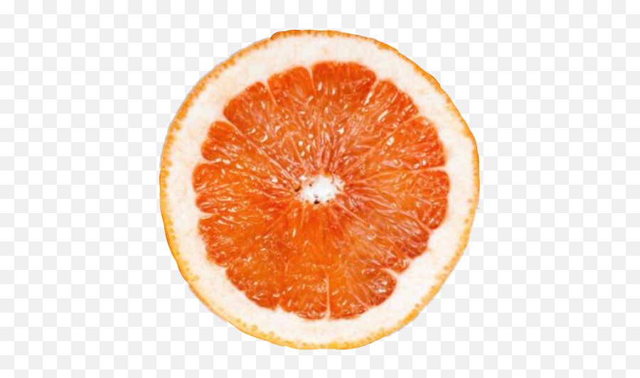 Fruit Slice Aesthetic Tumblr Colorf - Pastel Orange Png,Orange Slice Png