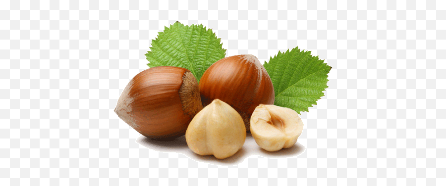 Turkish Hazelnuts Suppliers Oregon - Transparent Hazelnut Png,Hazelnut Png