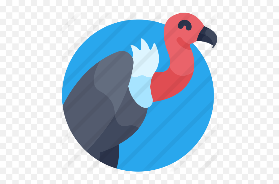 Vulture - Icono Buitre Png,Vulture Png