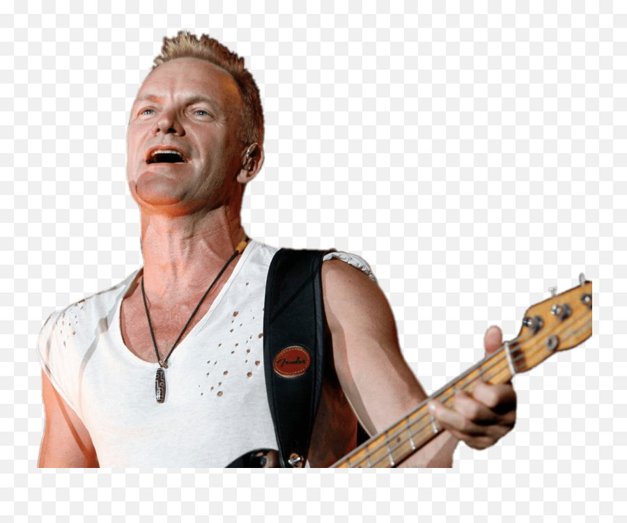 Sting Guitar Transparent Png - Stickpng 899376 Png Images Sting Png,Guitar Transparent Background