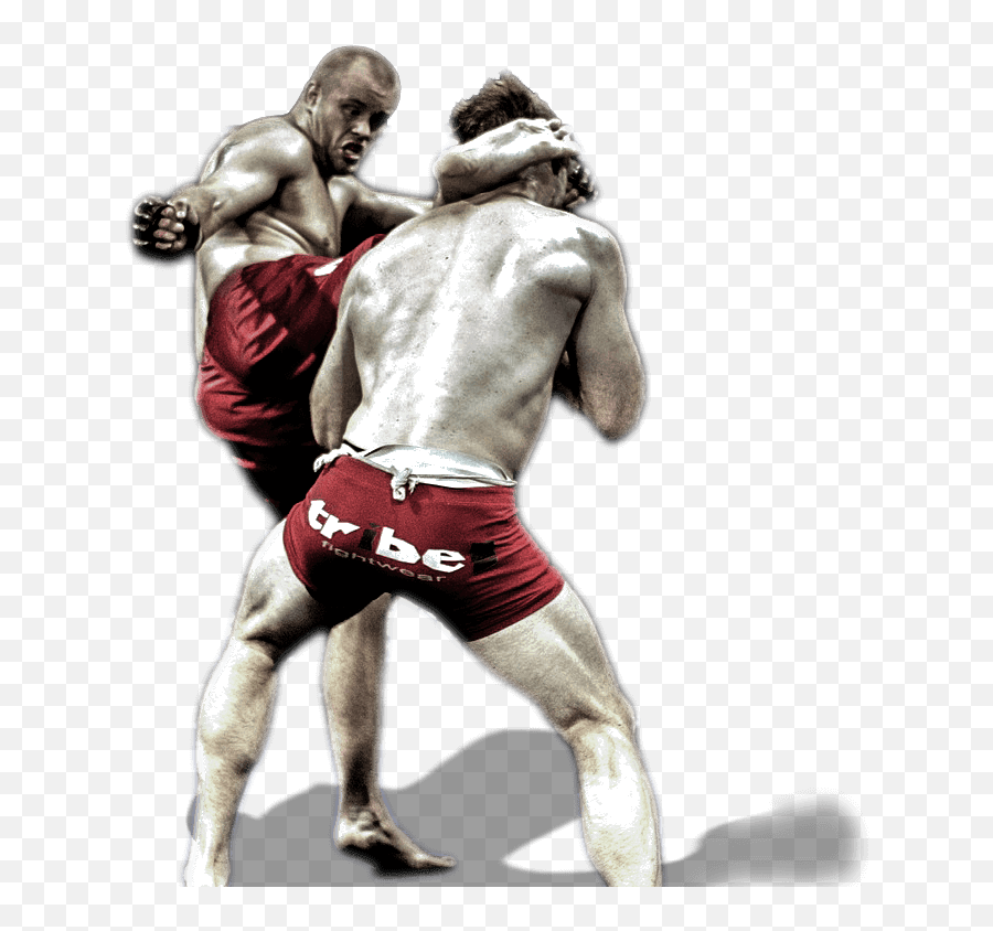 Mixed Martial Arts Png Transparent Image - Mixed Martial Arts Png,Martial Arts Png