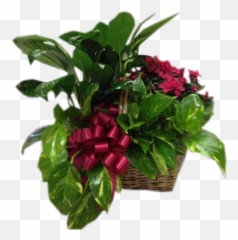 Azalea In The Garden - Artificial Flower Png,Azalea Png