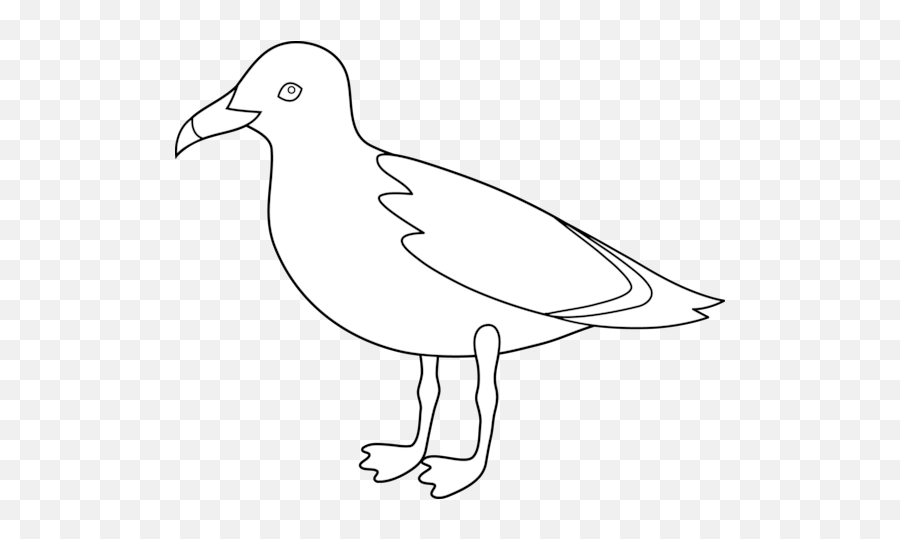 Outline Drawing - Seagull Clipart Black And White Png,Bird Outline Png