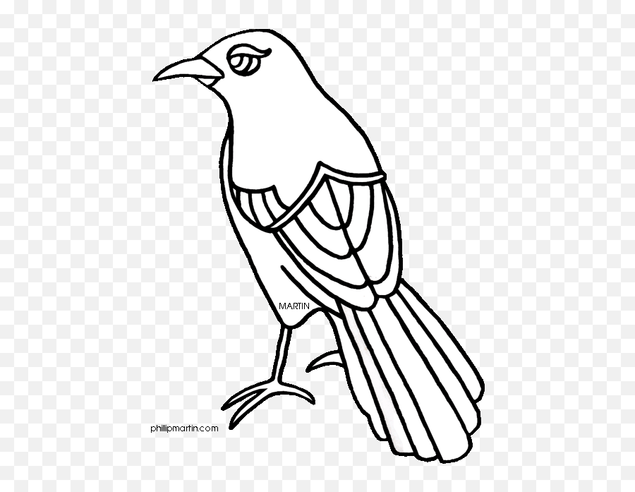 Texas Mockingbird Clipart - Texas State Bird Drawing Png Texas State Bird Drawing,Mockingbird Png