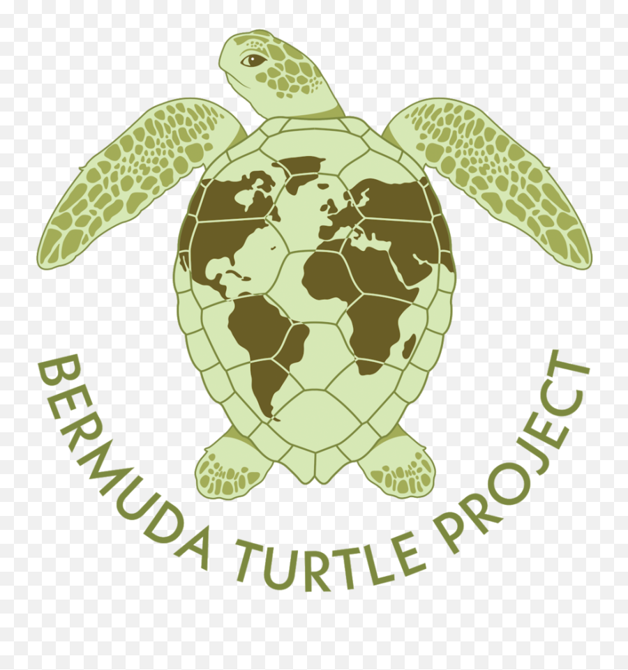 Seaturtleweek - Black World Map Silhouette Png,Turtle Png
