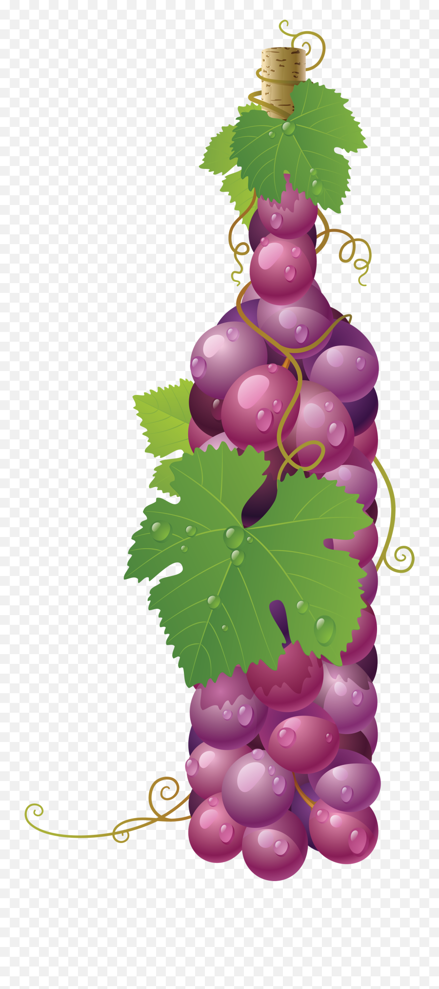 Grape Png Image Free Picture Download - Grapes Vector,Grapevine Png