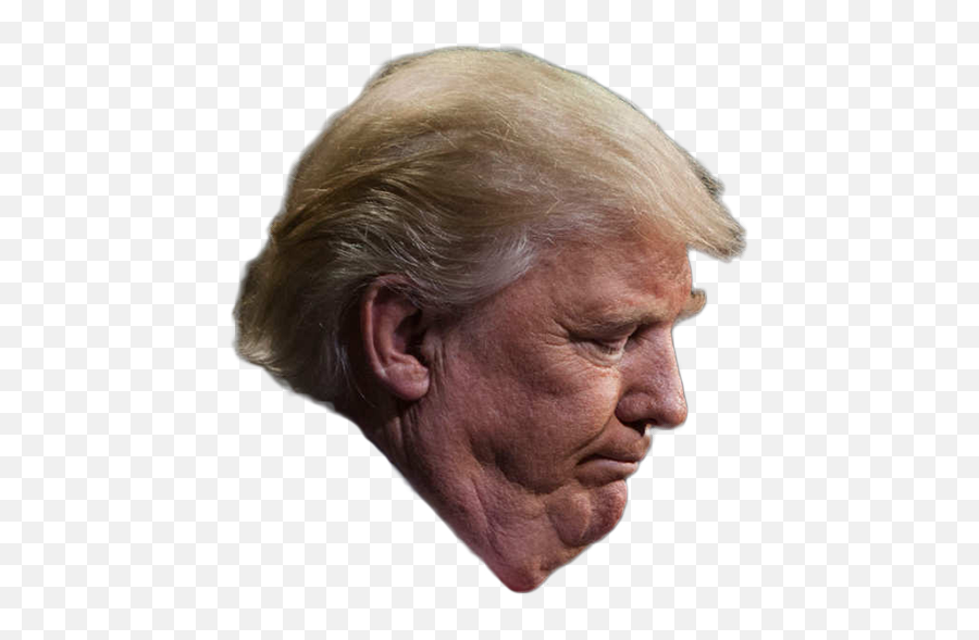 Saturday Night Live - Donald Trump Cara Png,Trump Head Png