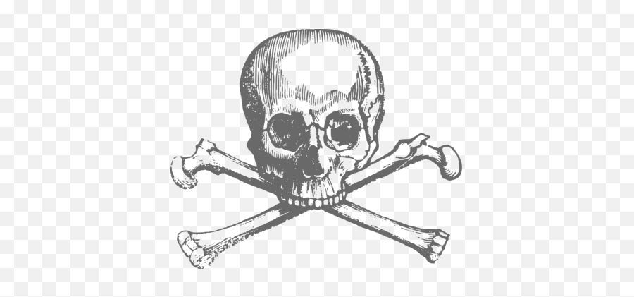 Skeleton Png Images - Free Png Library Black And White Halloween,White Skull Png