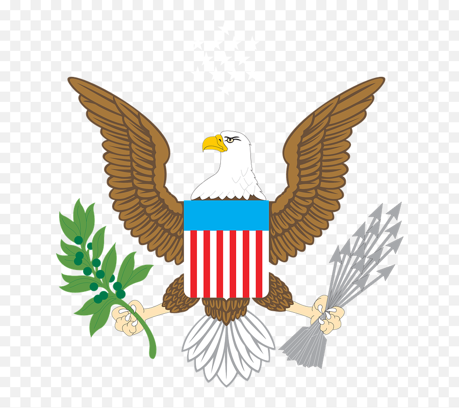 Eagle American Emblem - Free Vector Graphic On Pixabay American Bald Eagle Clipart Png,Eagle Png