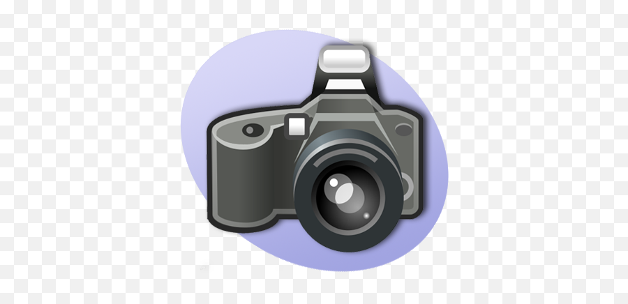 P Photography - Camera Flash Clipart Png,Photography Png