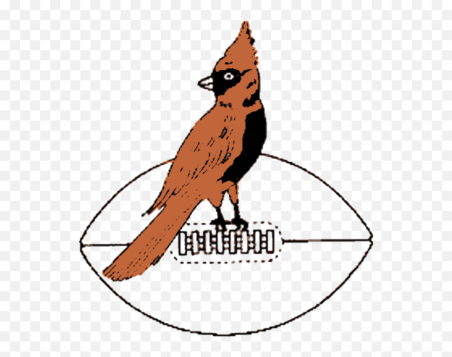 Chicago Cardinals Logo And History - Chicago Cardinals 1947 Logo Png,Cardinals Logo Png