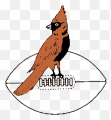 Chicago Cardinals Logo And History - Chicago Cardinals 1947 Logo Png,Cardinals Logo Png