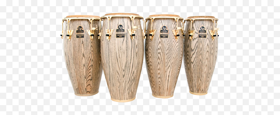 Congas - Congas Giovanni Png,Congas Png