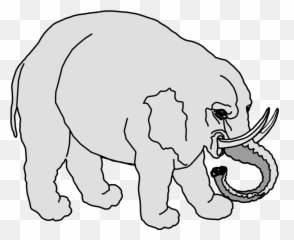 Artmonochrome Photographycarnivoran Png Clipart - Royalty Clip Art,Circus Elephant Png