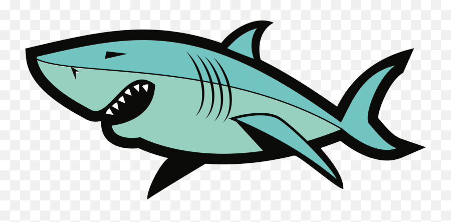 Marine Biologysharkfin Png Clipart - Royalty Free Svg Png Fish Vector Shark Png,Fin Png