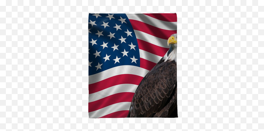 Usa Flag With Bald Eagle Plush Blanket U2022 Pixers - We Live To Change Usa Flag Png,American Flag Eagle Png