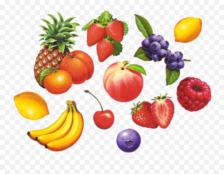 Tropical Fruit Drawing Image Clip Art - Fruits Png,Fruits Png