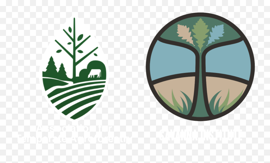 Agroforestry 2021 - Agroforestry Symbol Png,Black Desert Icon Above Name