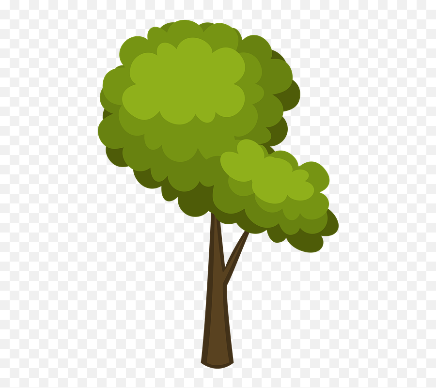 Tree Cartoon Icon - Free Image On Pixabay Tree Png,Tree Icon Transparent