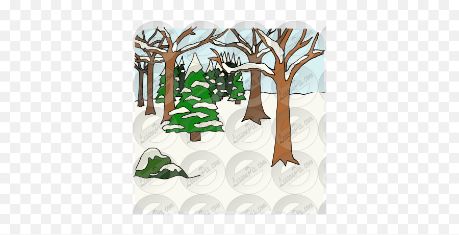 Winter Forest Picture For Classroom Therapy Use - Great Winter Forest Clipart Png,Snowy Trees Png