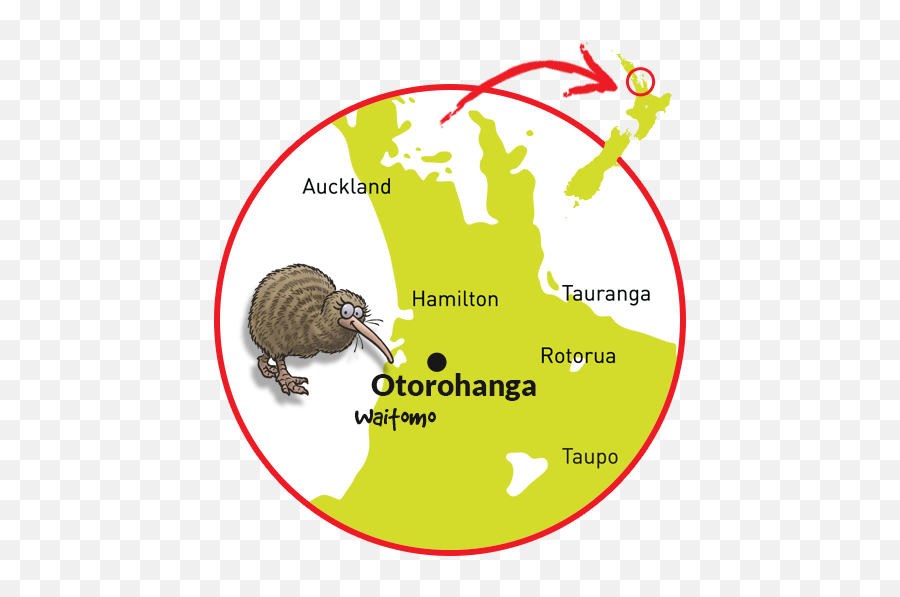 Kiwi Conservation Since 1971 Otorohanga House - Otorohanga Map Png,Kiwi Bird Icon