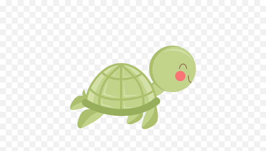 Cute Turtle Png Photos - Cute Turtle Transparent Background,Cute Turtle Png