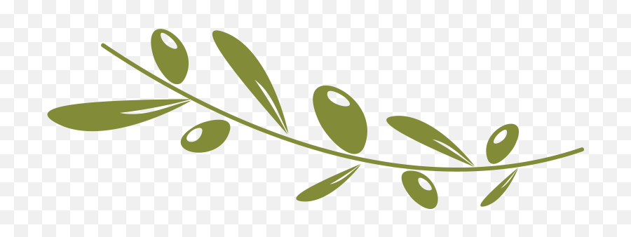 Download Olive Oil Png Images - Png Olive,Oil Png