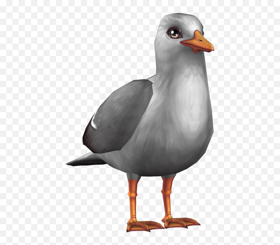 Download Dapper Seagull - Star Stable Full Size Png Image Laughing Gull,Seagull Png