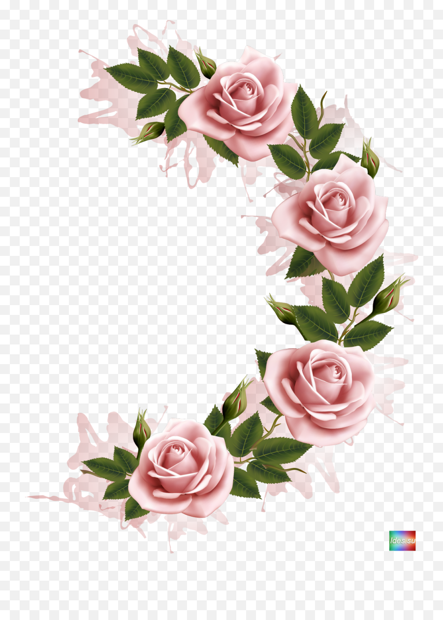 Download Photography Flower Frame Stock Png Free Hq - 7,Stock Photo Png