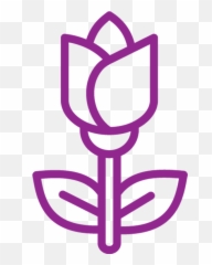 Austin Labiaplasty And Vaginal Rejuvenation - Language png