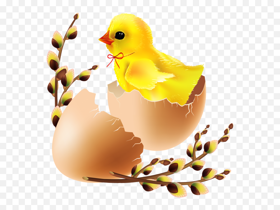 Easter Egg Water Bird For - 4032x4000 Easter Transparent Birds Png,Easter Egg Transparent