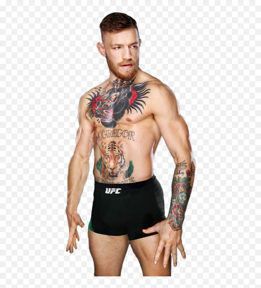 Conor Mcgregor Transparent Images - Conor Mcgregor Png,Conor Mcgregor Png