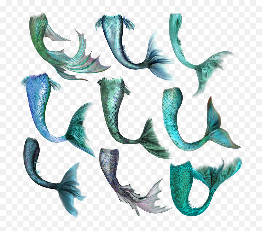 Mermaid Fish Tail - Mermaid Tails Png,Mermaid Tail Png