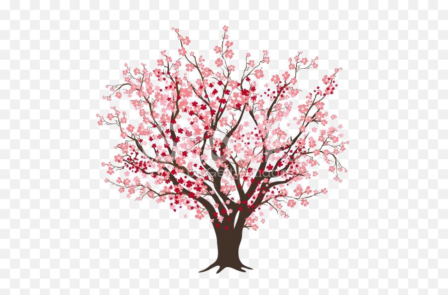 Bloosoming Apple Tree Svg Black And Whit 1138 Png Cherry Blossom Tree Silhouette Apple Tree Png Free Transparent Png Images Pngaaa Com