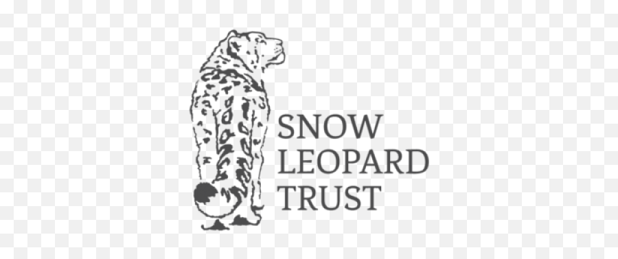 Snow Leopard Trust Green America - Snow Leopard Conservation Efforts Png,Snow Leopard Png