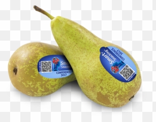 Unique Qr - Code For Every Pear Conferencepears Fruta Con Codigo Png,Pears Png