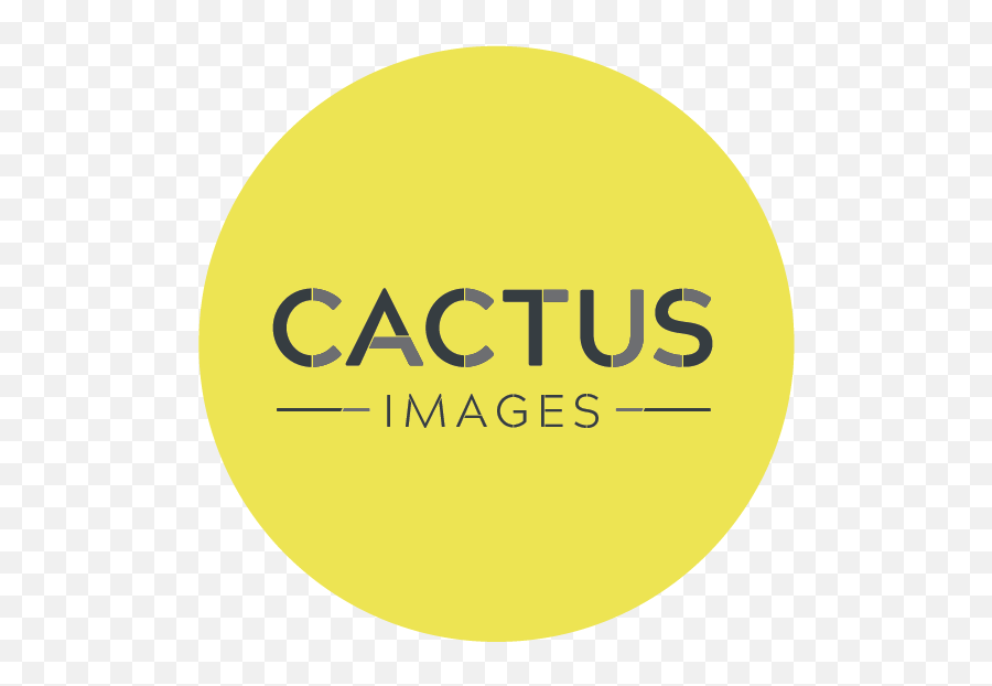 Cactus Images U2014 Marketing Derby - Circle Png,Cactus Logo
