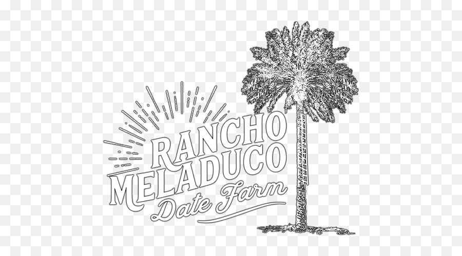 Logo - 500whitetransds Rancho Meladuco Date Farm Illustration Png,Ds Logo