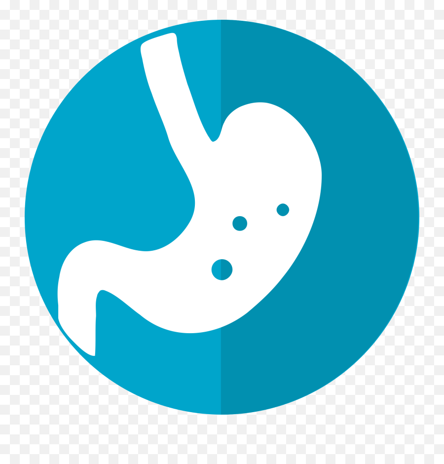 Stomach Icon - Digestive System Icon Png,Stomach Png