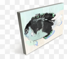 Download School Of Fish - Fish Png,School Of Fish Png
