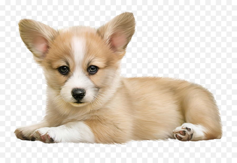 Cute Clipart Borders And Frames Corgi Clip Art - Corgi Puppy Transparent Background Png,Corgi Png