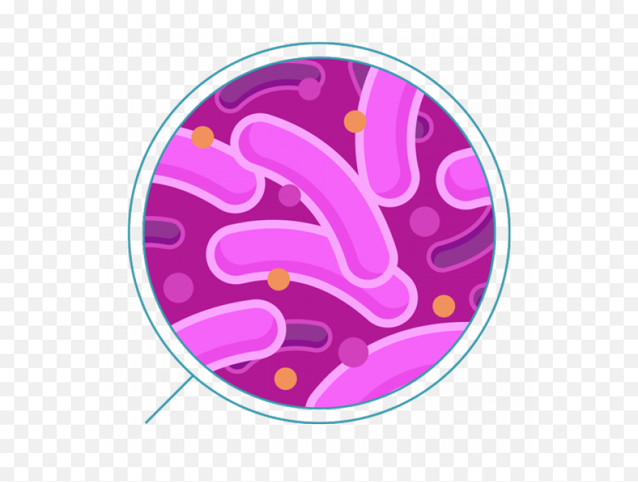 Bacteria Png Images Transparent - Transparent Background Bacteria Png,Bacteria Png