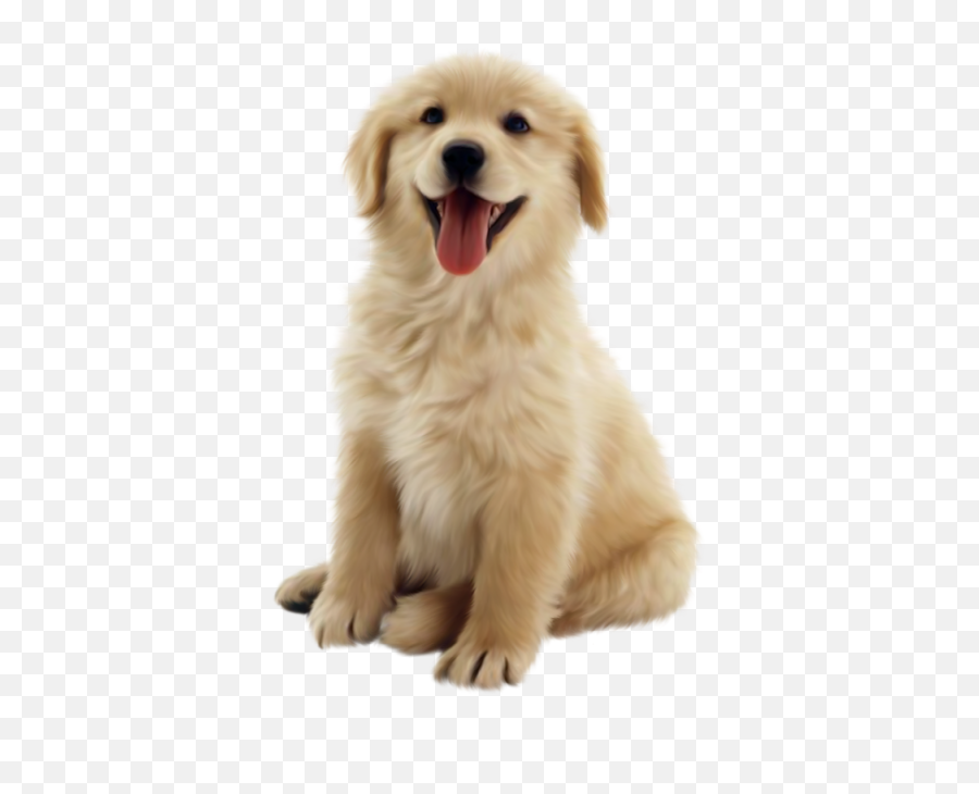 Png Hd Transparent Puppy - Golden Retriever Puppy Png,Cute Dog Png