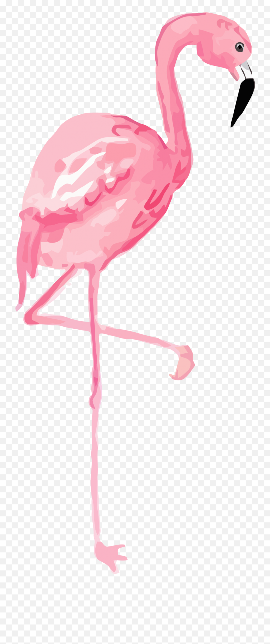 Flamingo Clipart Png - Long,Flamingo Clipart Png