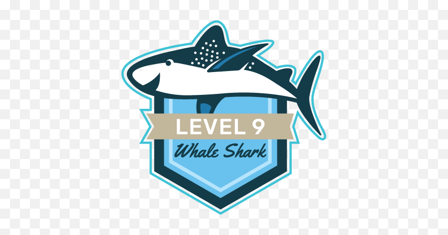 Level 9 - Whale Shark Offline Sharks Aquarium Services Png,Whale Shark Png