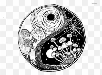 Download Transparent Yin Yang - And Drawing png