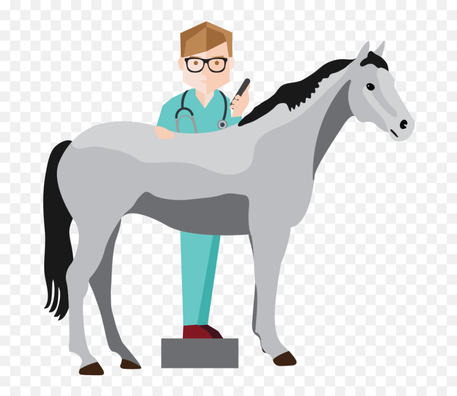 Veterinarian Clipart - Free Cliparts U0026 Png Veterinarian Veterinary Doctor Png,Veterinarian Png