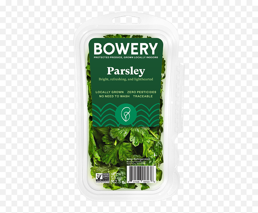 Parsley - Coriander Png,Parsley Png